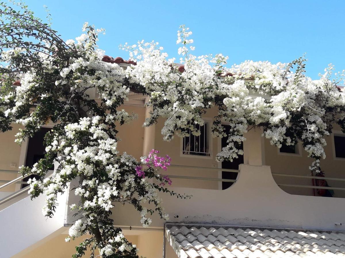 Makis Apartments Αρίλλας Εξωτερικό φωτογραφία