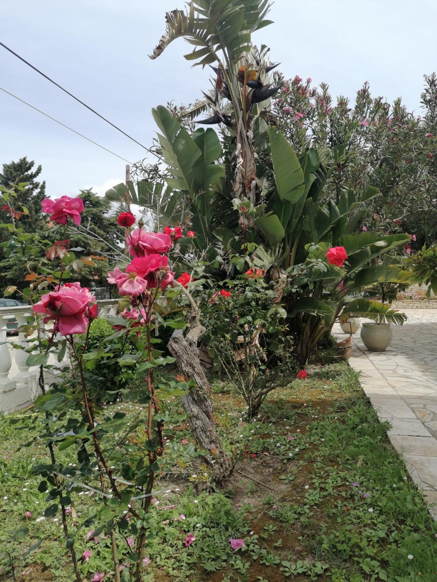 Makis Apartments Αρίλλας Εξωτερικό φωτογραφία