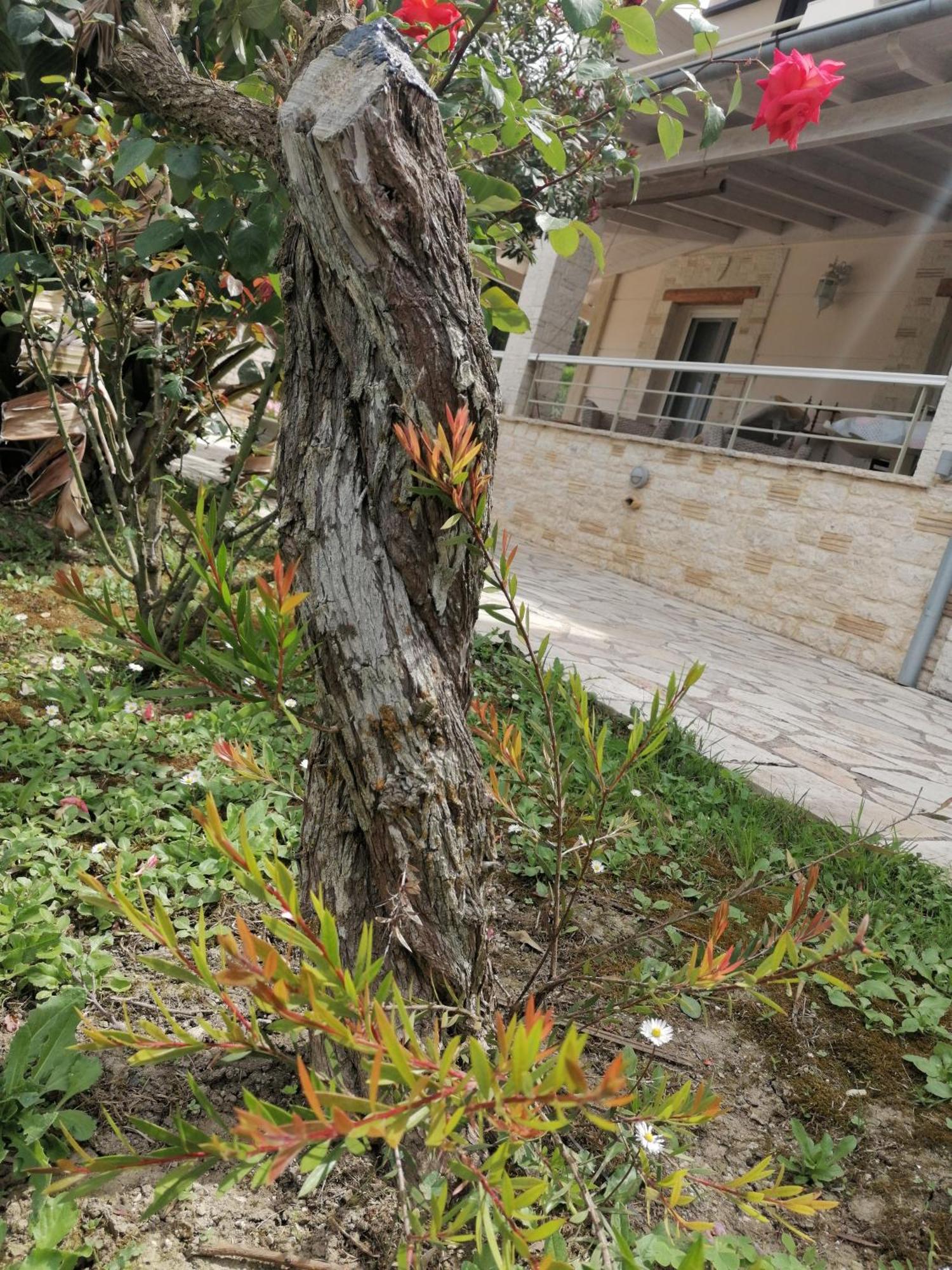 Makis Apartments Αρίλλας Εξωτερικό φωτογραφία